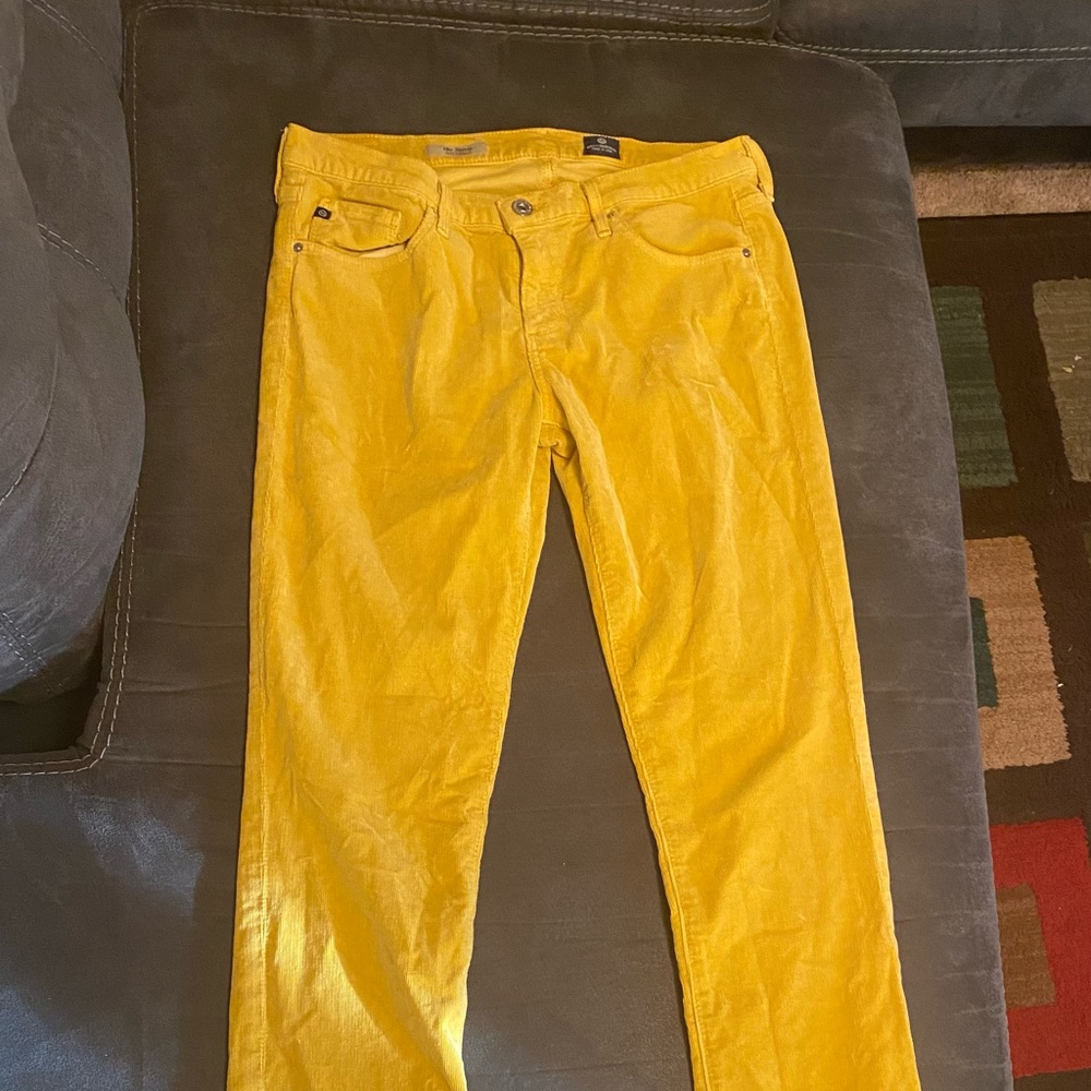Andriano Goldschmied corduroy pants